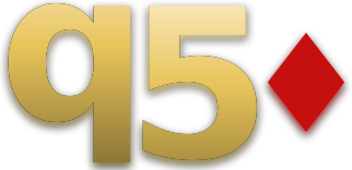q50 logo